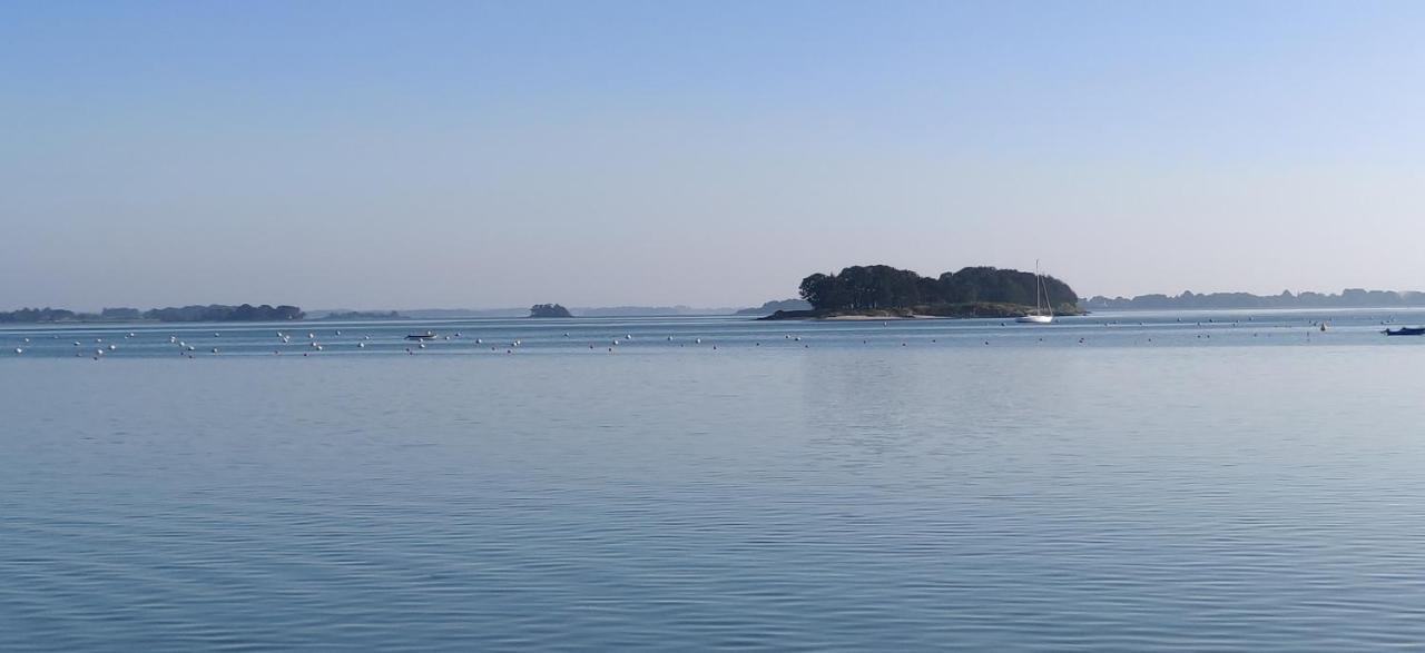 Manoir De Truhelin, A 2 Pas Du Golfe Du Morbihan อาร์ราดง ภายนอก รูปภาพ